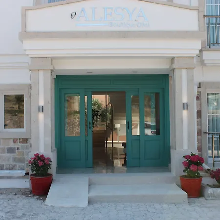 Отель Alesya 4*