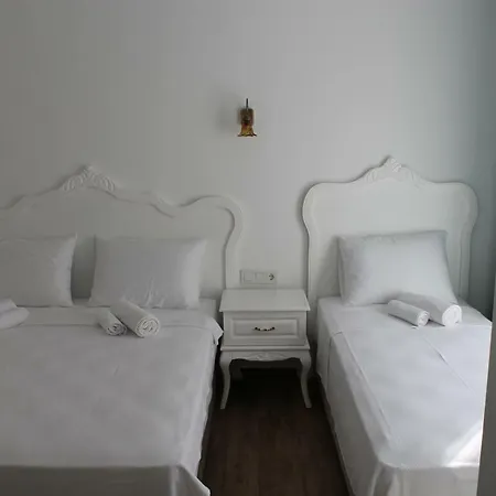 Ξενοδοχείο Alesya 4*