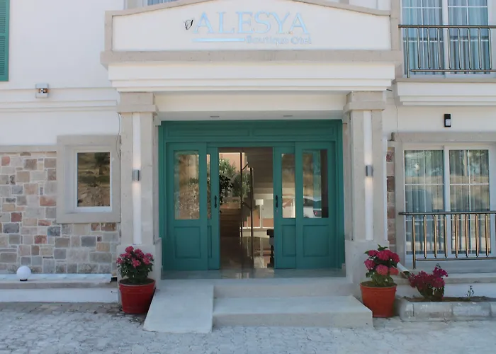 酒店 Alesya 4*